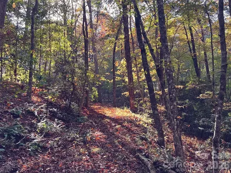00000 Shady Bark Lane Rutherfordton NC 28139