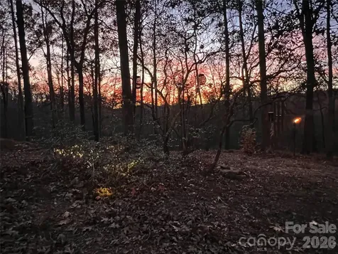00000 Shady Bark Lane Rutherfordton NC 28139