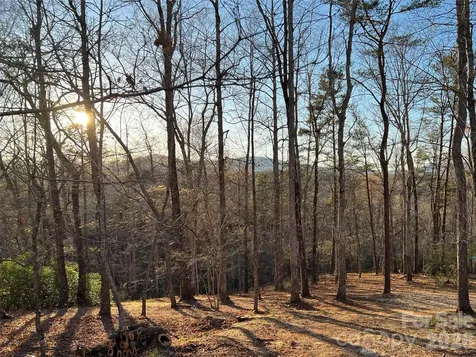 00000 Shady Bark Lane Rutherfordton NC 28139