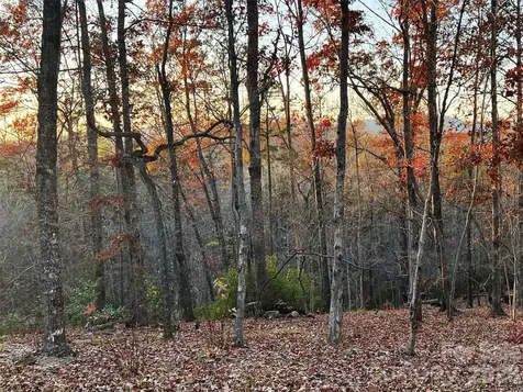 00000 Shady Bark Lane Rutherfordton NC 28139