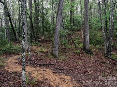 00000 Shady Bark Lane Rutherfordton NC 28139