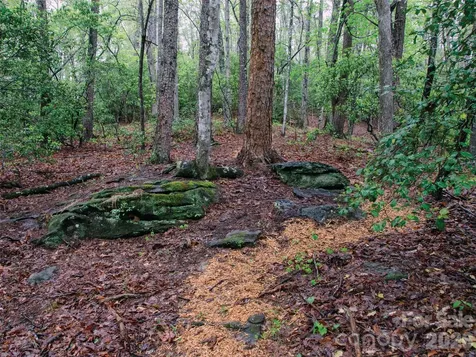 00000 Shady Bark Lane Rutherfordton NC 28139