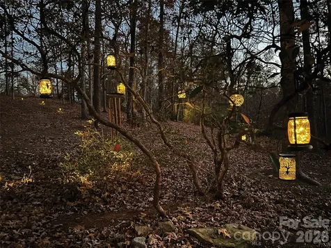 00000 Shady Bark Lane Rutherfordton NC 28139