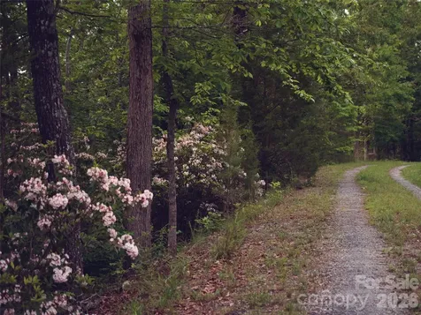 00000 Shady Bark Lane Rutherfordton NC 28139