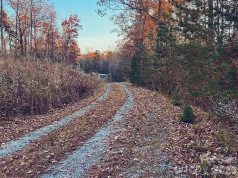 00000 Shady Bark Lane Rutherfordton NC 28139