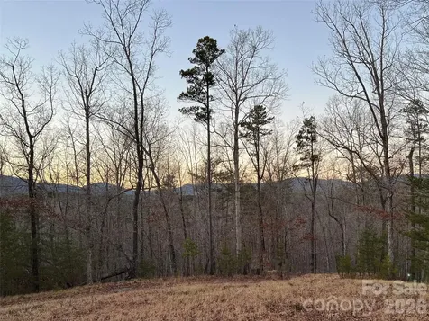 00000 Shady Bark Lane Rutherfordton NC 28139