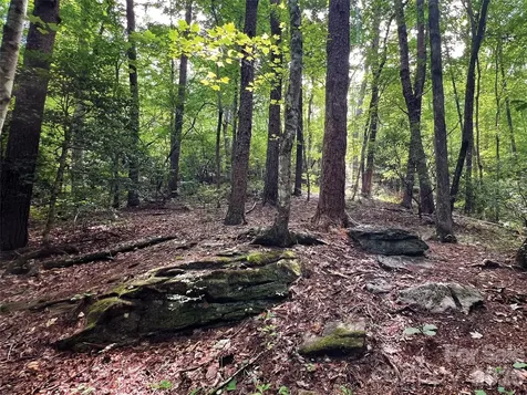 00000 Shady Bark Lane Rutherfordton NC 28139