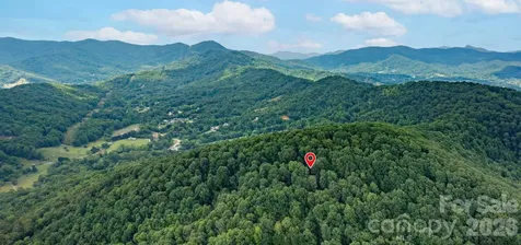 72 Wildflower Mountain Trail Candler NC 28715