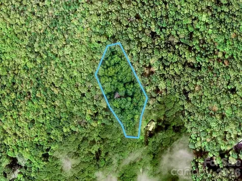 72 Wildflower Mountain Trail Candler NC 28715