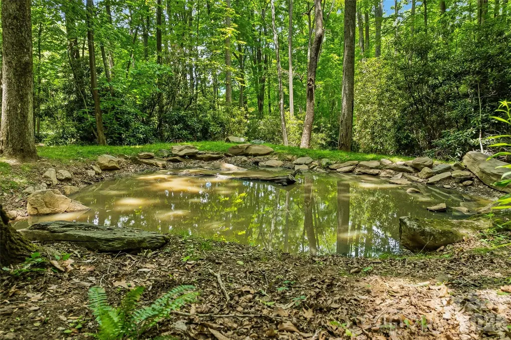 61 Scroops Drive Swannanoa NC 28778