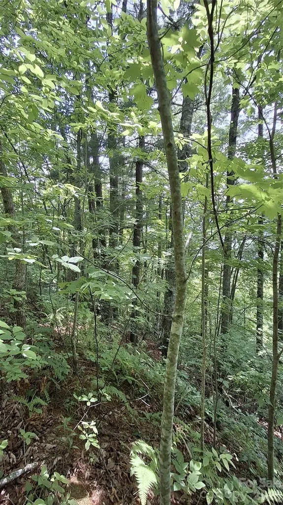 112 Kako Ridge Sylva NC 28779