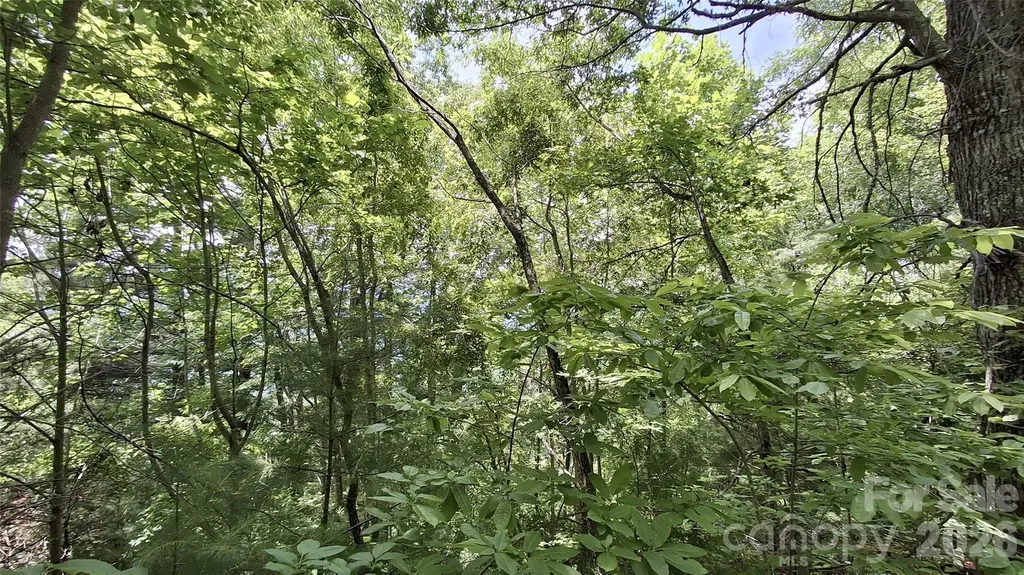 112 Kako Ridge Sylva NC 28779