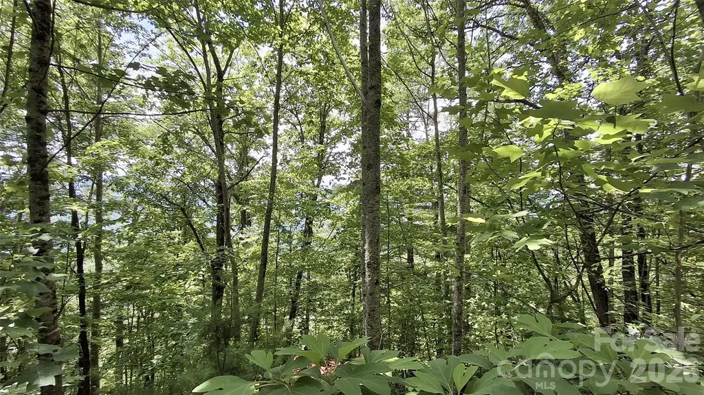 112 Kako Ridge Sylva NC 28779