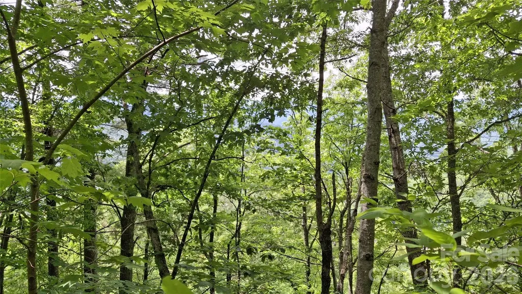 112 Kako Ridge Sylva NC 28779