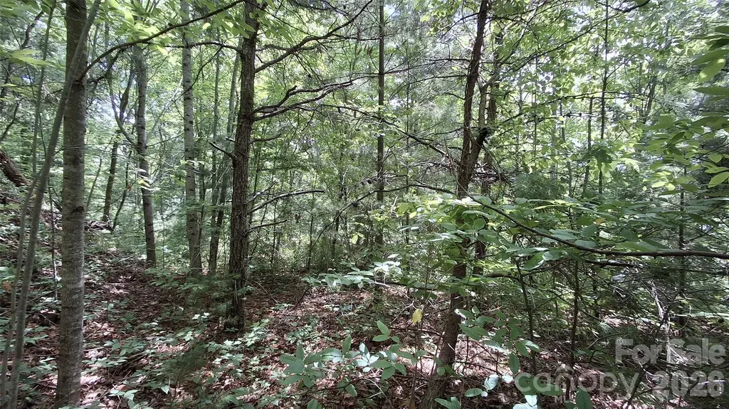 112 Kako Ridge Sylva NC 28779