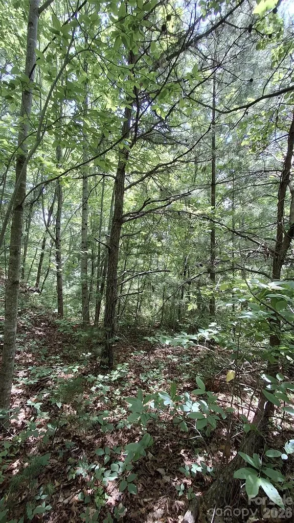 112 Kako Ridge Sylva NC 28779