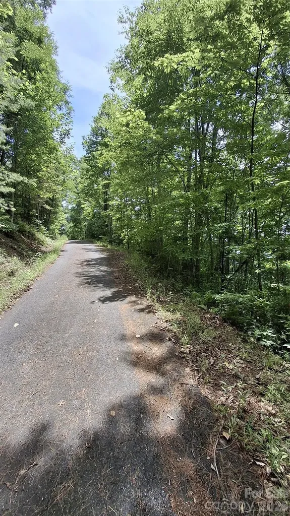 112 Kako Ridge Sylva NC 28779