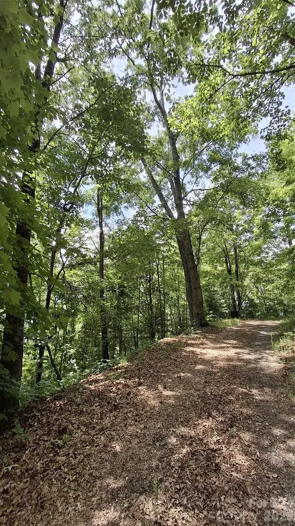 112 Kako Ridge Sylva NC 28779
