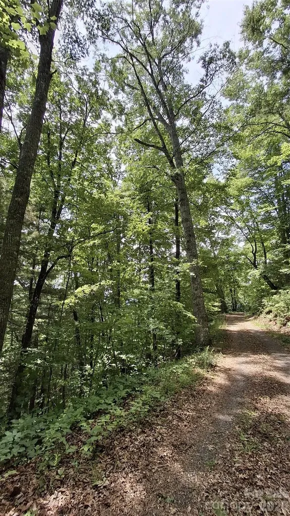 112 Kako Ridge Sylva NC 28779