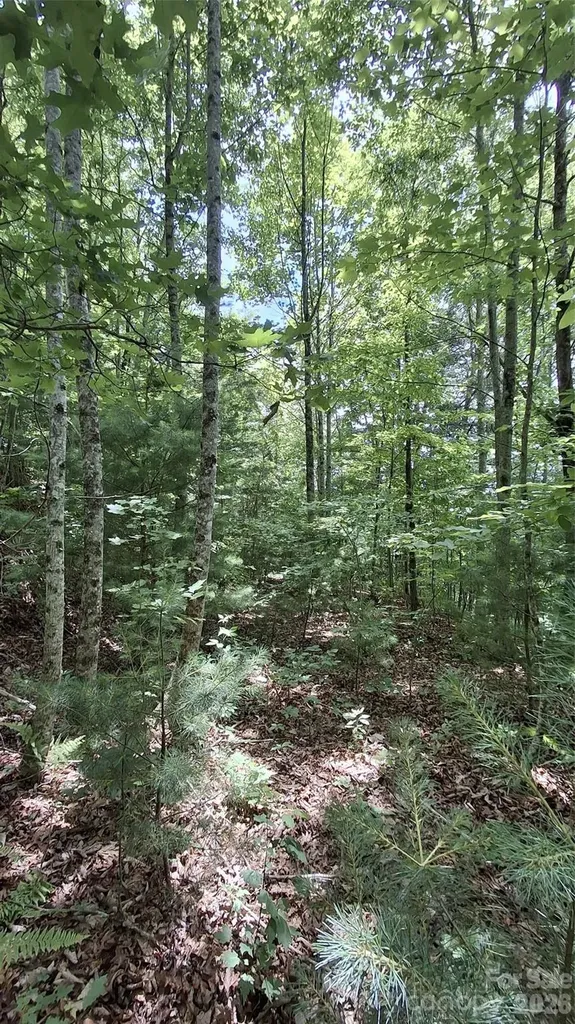 112 Kako Ridge Sylva NC 28779