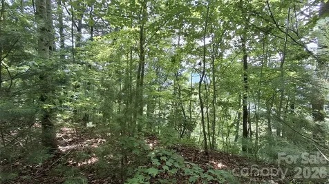 112 Kako Ridge Sylva NC 28779