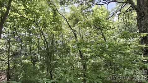 112 Kako Ridge Sylva NC 28779