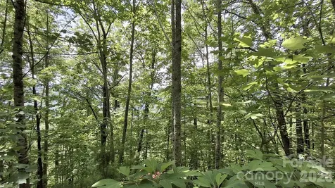 112 Kako Ridge Sylva NC 28779