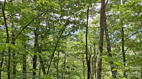 112 Kako Ridge Sylva NC 28779