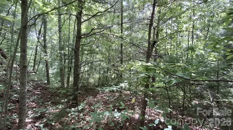 112 Kako Ridge Sylva NC 28779