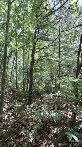 112 Kako Ridge Sylva NC 28779