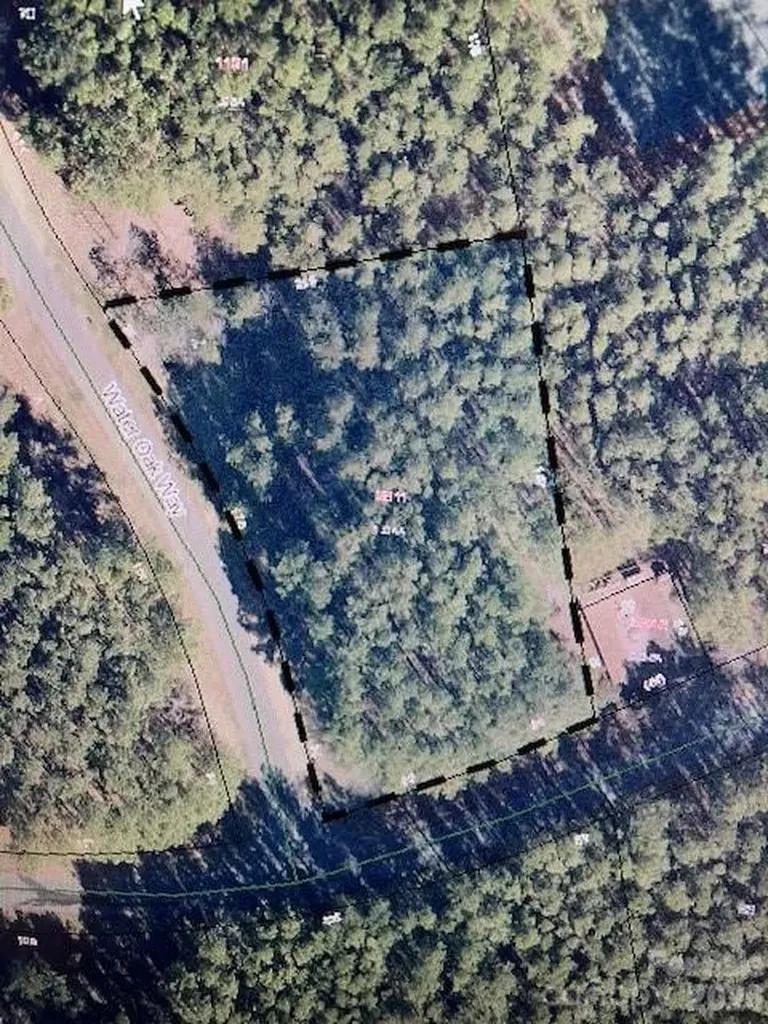 262 Plantation Way Mount Gilead NC 27306