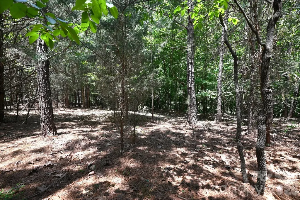 136 Oak Point Lane Stony Point NC 28678