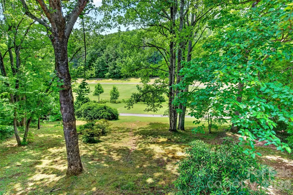 103 Richard Lane Black Mountain NC 28711
