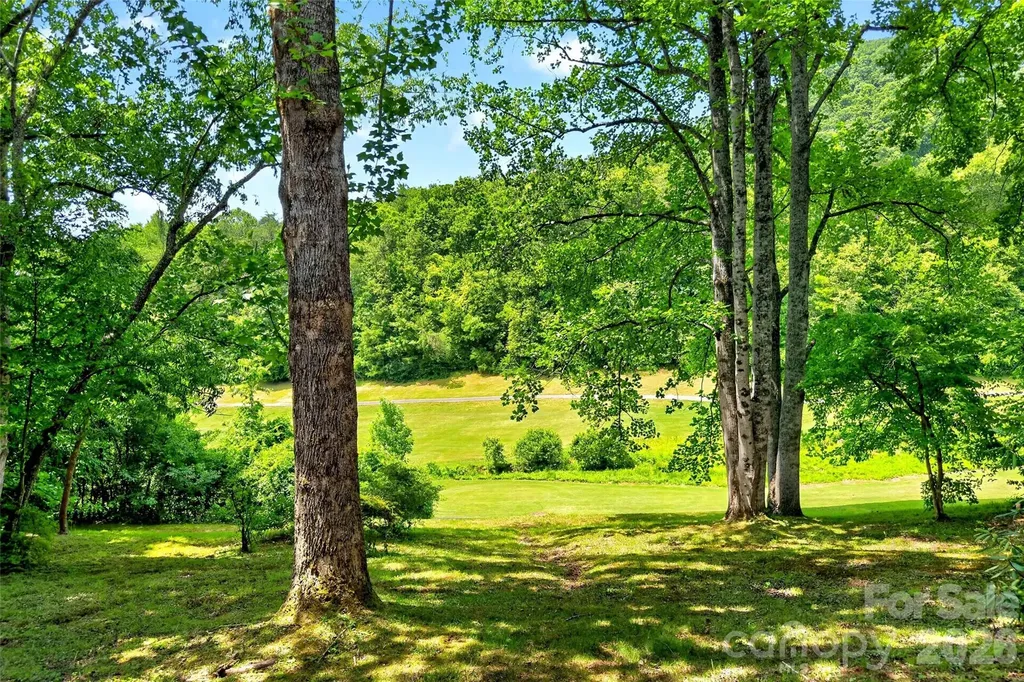 103 Richard Lane Black Mountain NC 28711