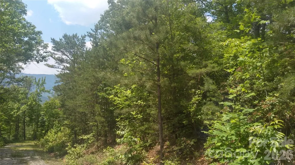 Lot 2f Seminole Path Marion NC 28752