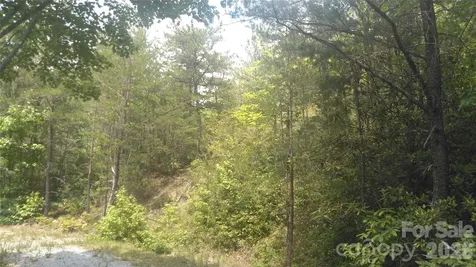 Lot 2f Seminole Path Marion NC 28752
