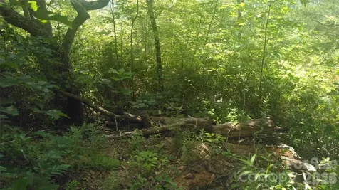 Lot 2f Seminole Path Marion NC 28752