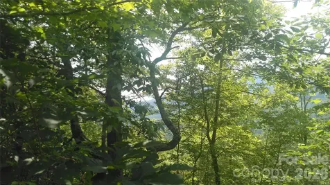 Lot 2f Seminole Path Marion NC 28752