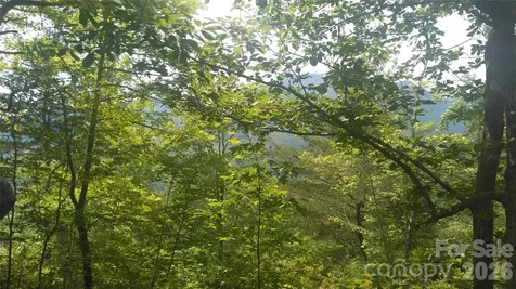 Lot 2f Seminole Path Marion NC 28752