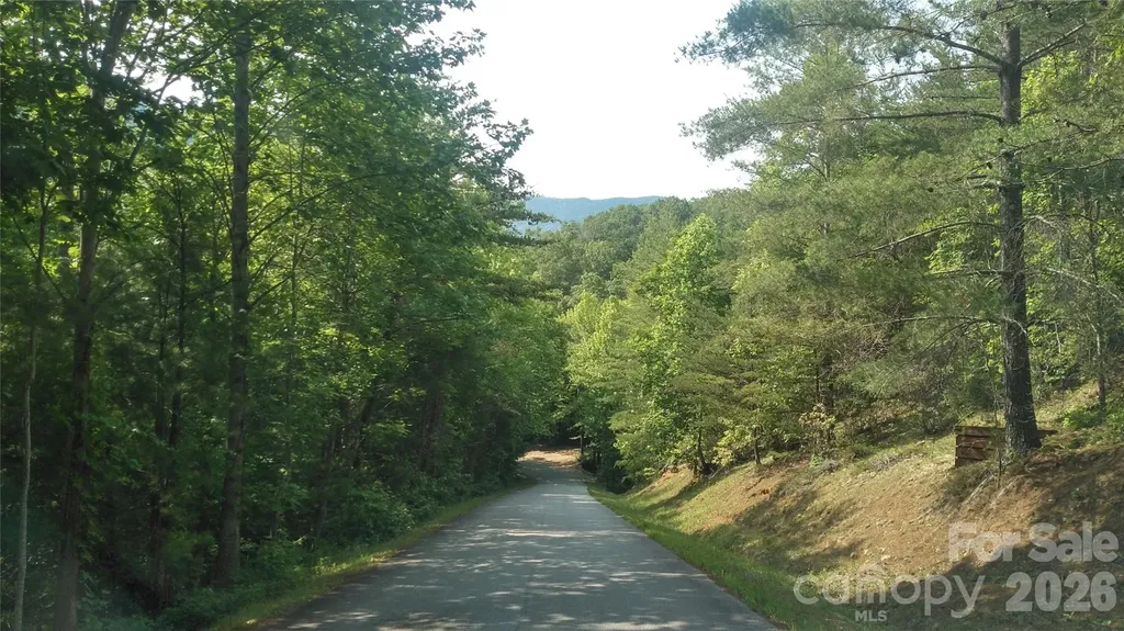 Lot 17 Deer Ridge Trail Marion NC 28752