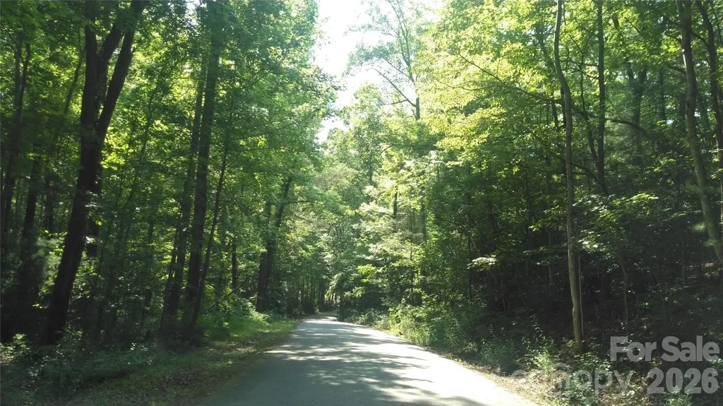 Lot 17 Deer Ridge Trail Marion NC 28752