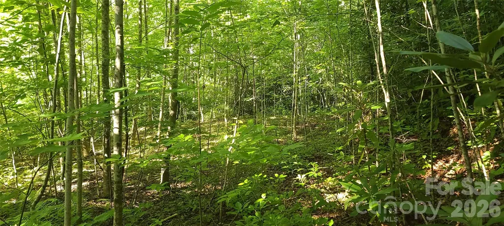 Lot# 19 Mill Creek Road Old Fort NC 28762