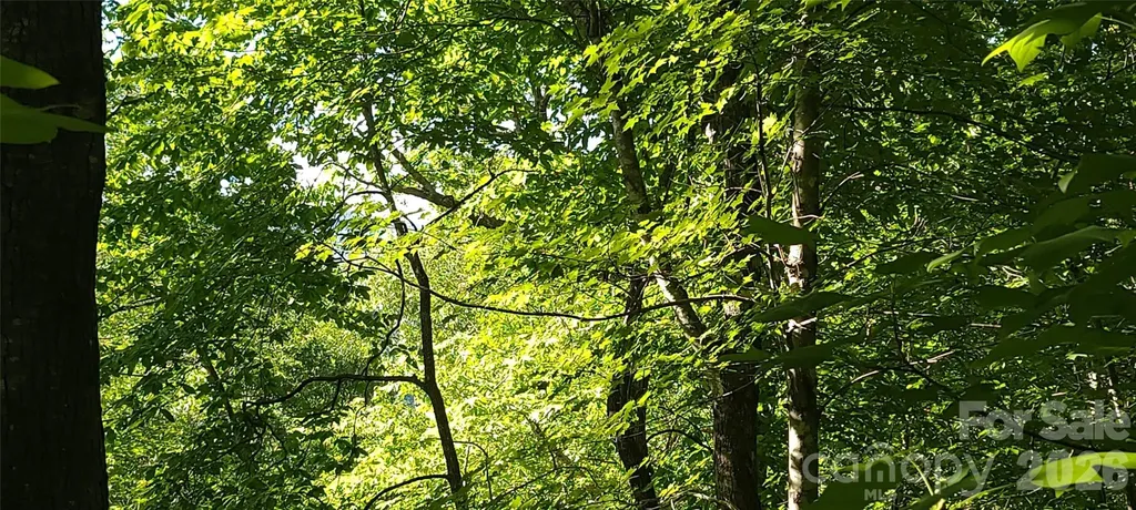 Lot# 19 Mill Creek Road Old Fort NC 28762