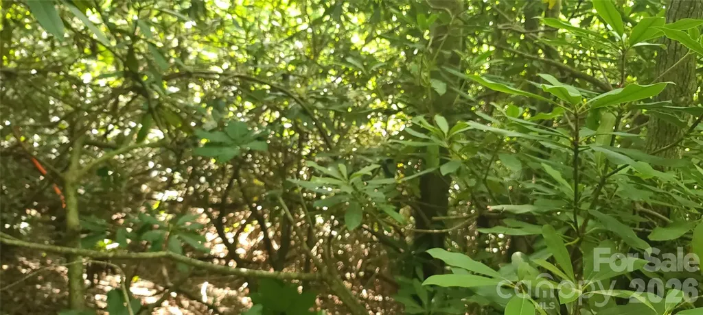 Lot# 19 Mill Creek Road Old Fort NC 28762