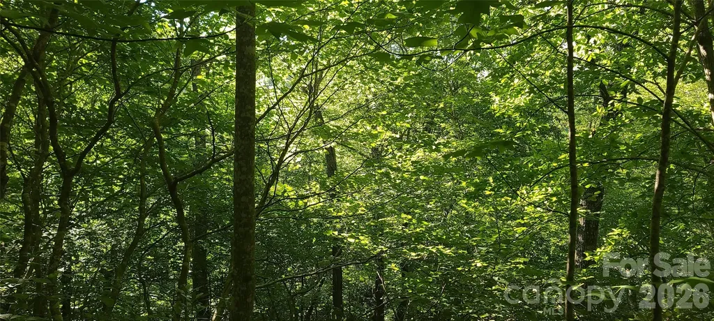 Lot# 19 Mill Creek Road Old Fort NC 28762
