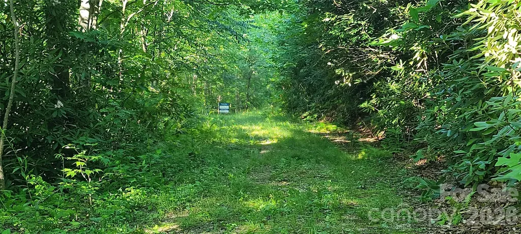 Lot# 19 Mill Creek Road Old Fort NC 28762