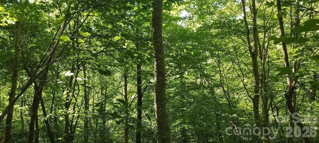 Lot# 19 Mill Creek Road Old Fort NC 28762