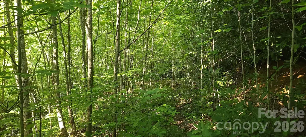 Lot# 19 Mill Creek Road Old Fort NC 28762