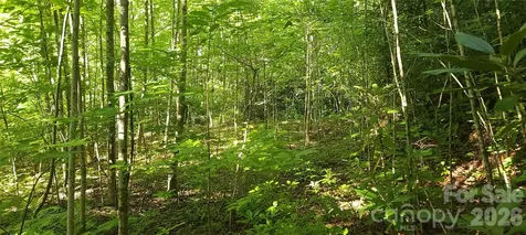 Lot# 19 Mill Creek Road Old Fort NC 28762