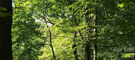 Lot# 19 Mill Creek Road Old Fort NC 28762